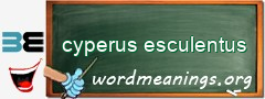 WordMeaning blackboard for cyperus esculentus